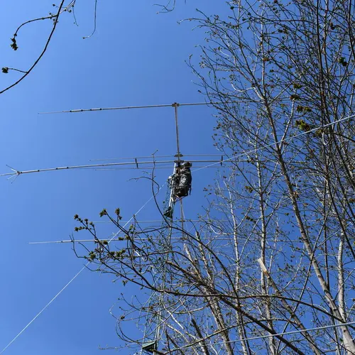 CE3FJ