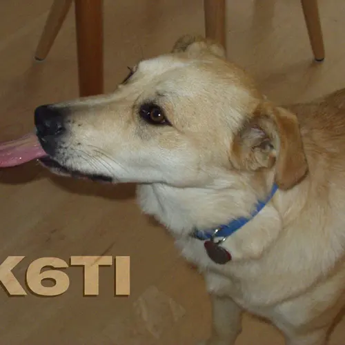 K6TI