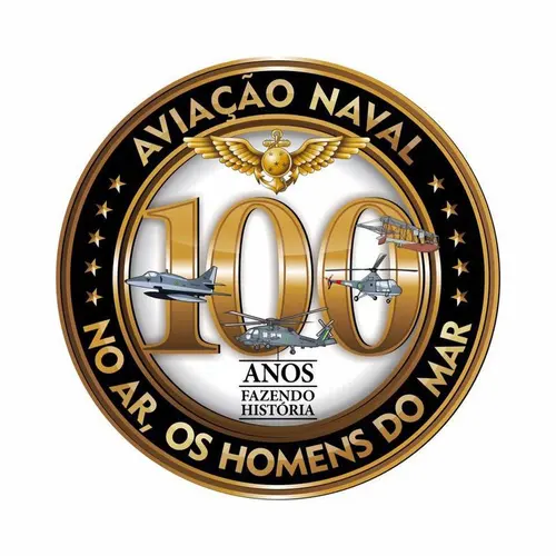 ZY100AVN