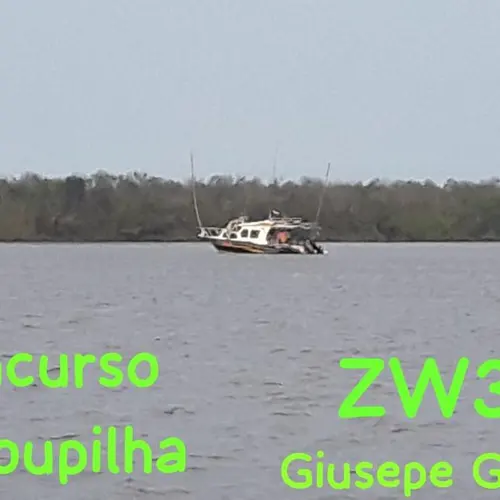 ZW3GG