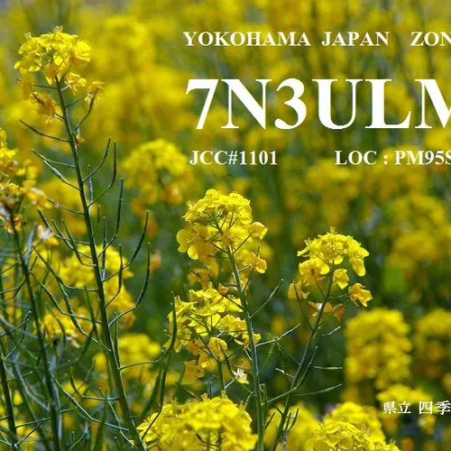 7N3ULM