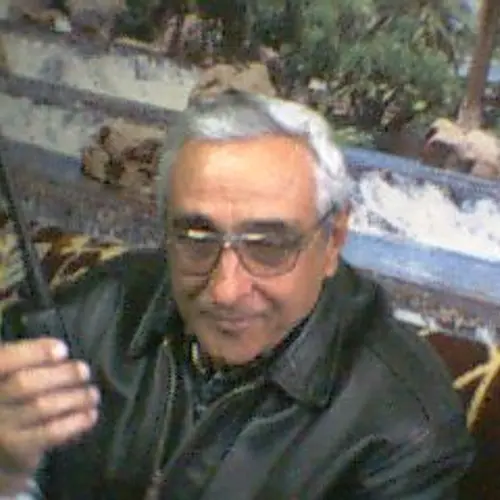 YO3ZP