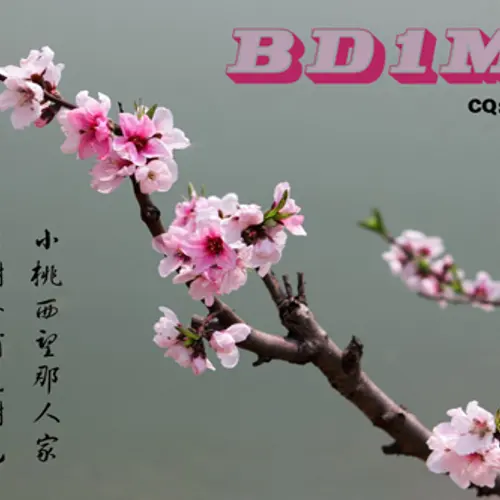 BD1MD