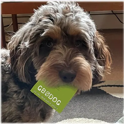 GB0DOG