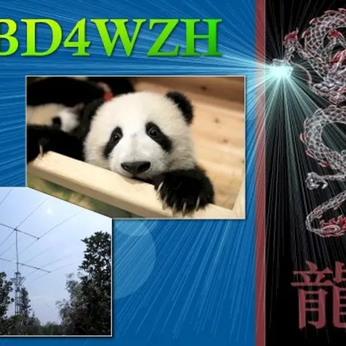 BD4WZH
