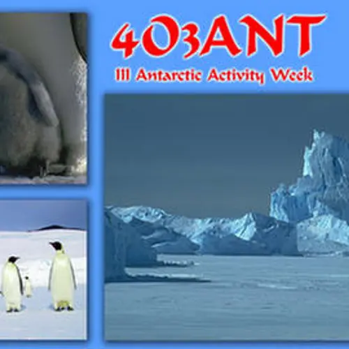 4O3ANT