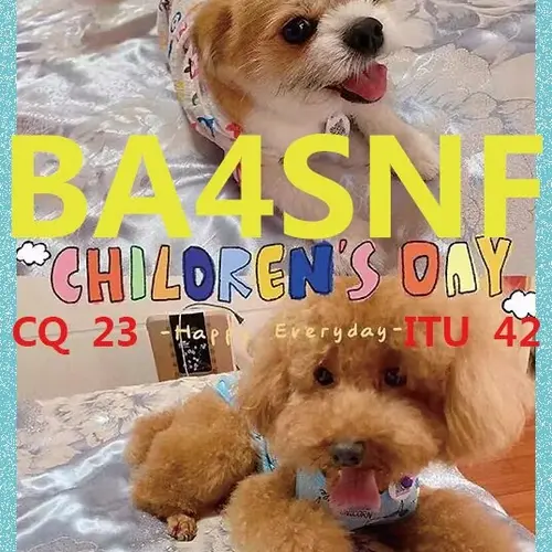 BA4SNF