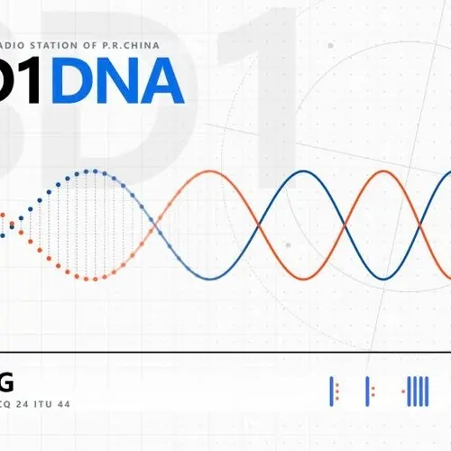 BD1DNA