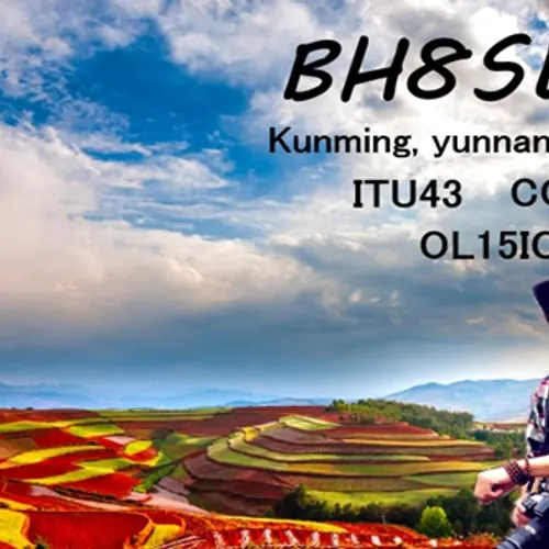 BH8SLN