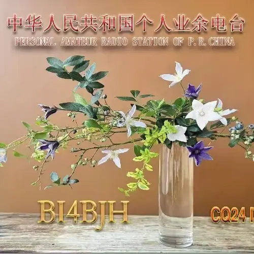 BI4BJH