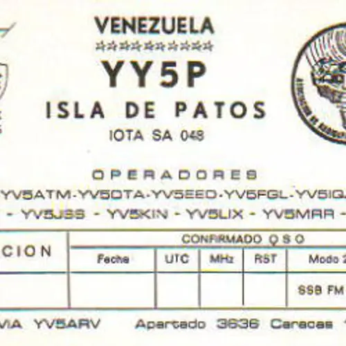 YY5P