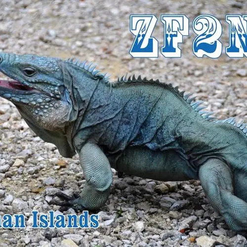 ZF2NY